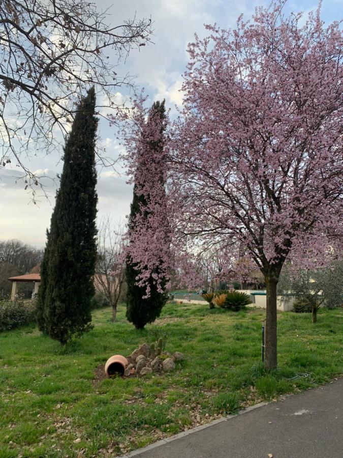 Oltre La Siepe Apartment Nepi Dış mekan fotoğraf
