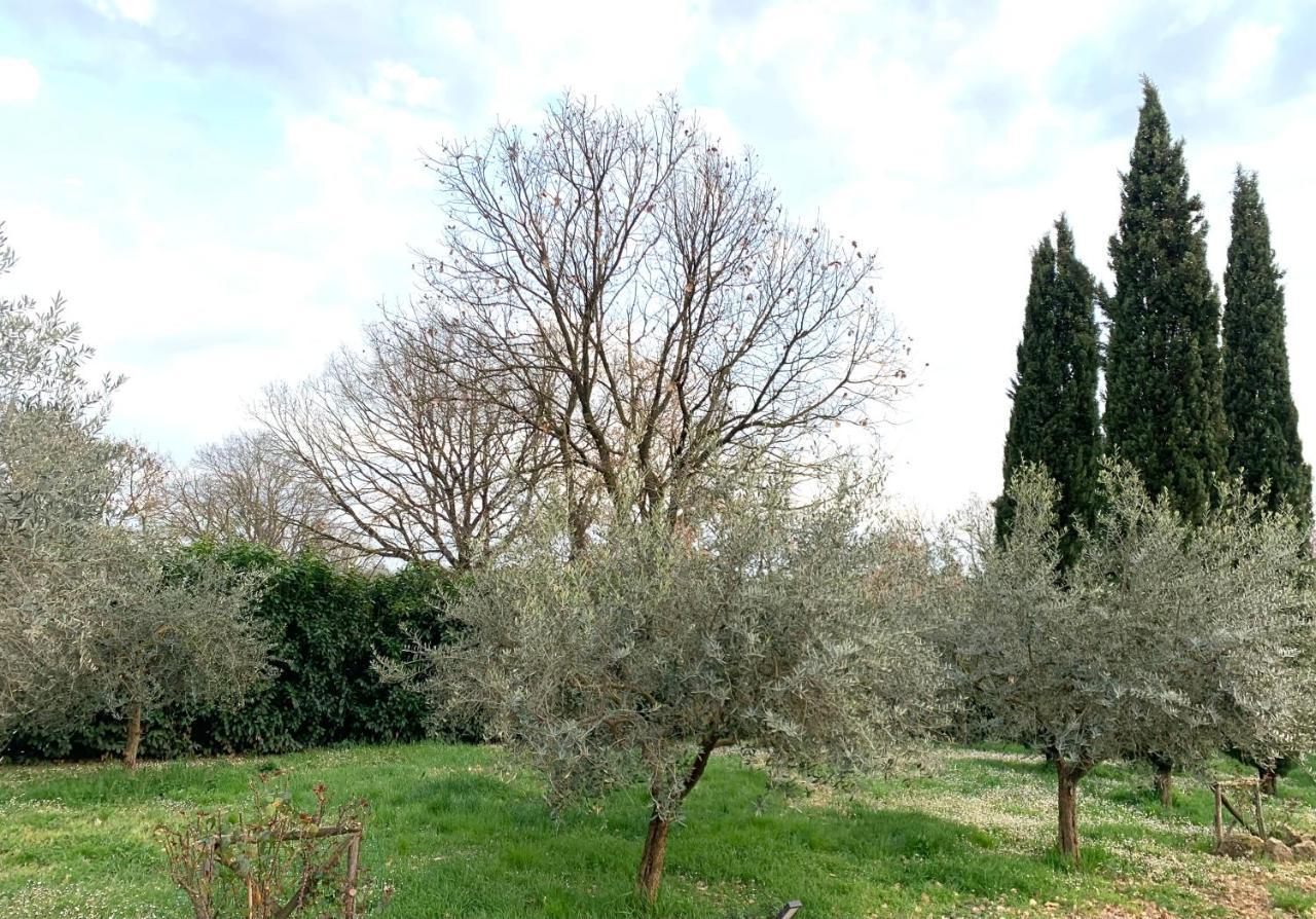 Oltre La Siepe Apartment Nepi Dış mekan fotoğraf